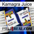 Kamagra Juice 12